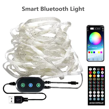 Smart LED Niz Luči WS2812B Bluetooth Sinhronizacija Glasbe Sanje Barve Vila Lučka Garland Za Božič Zavese Valentinovo Dekor